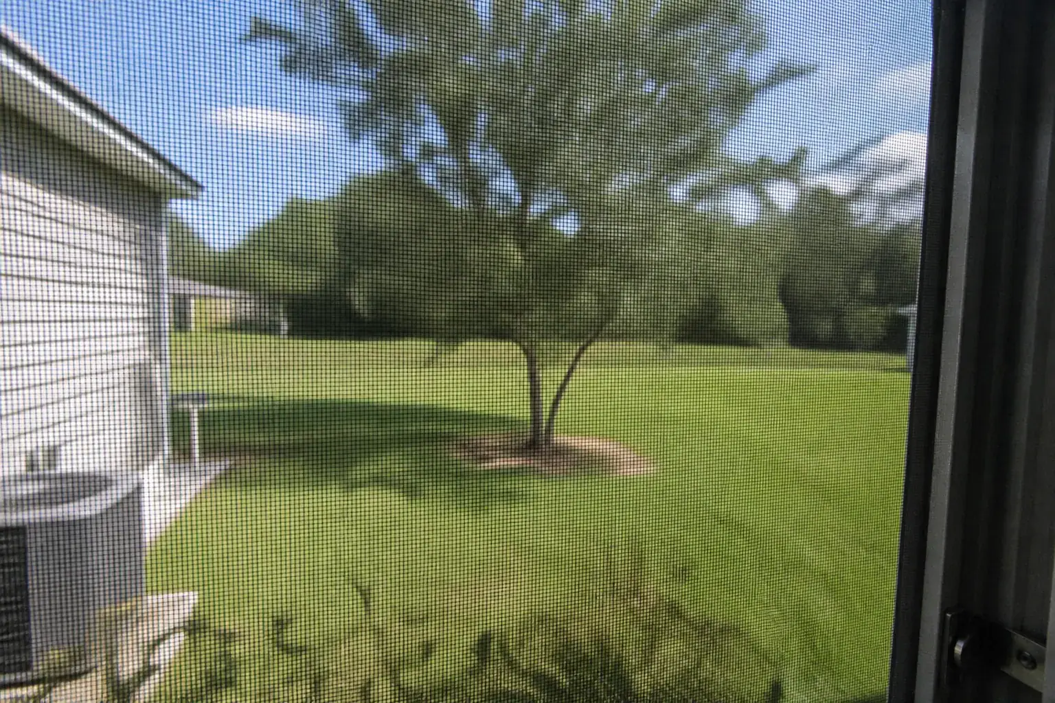Lanai screen door on a screen room in Lakeland, Florida