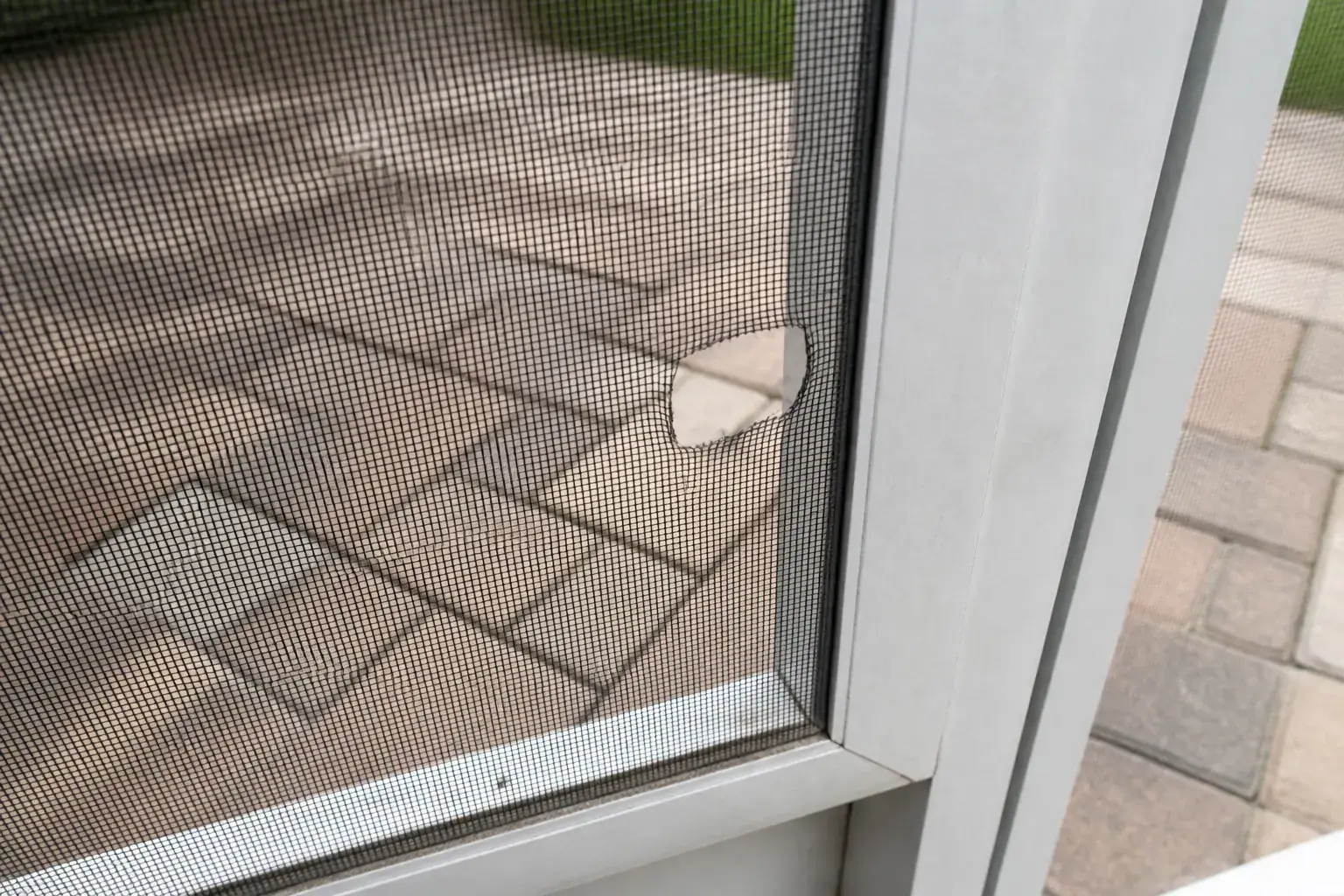 Lanai screen repair in Lakeland, FL: torn fiberglass panel on an aluminum frame